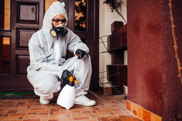 Reliable Rodent Control contractor in Bryn Mawr-Skyway, WA by Nex Pest Control