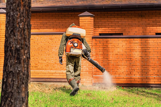 Trusted Mosquito Control service in Bryn Mawr-Skyway, WA - Nex Pest Control